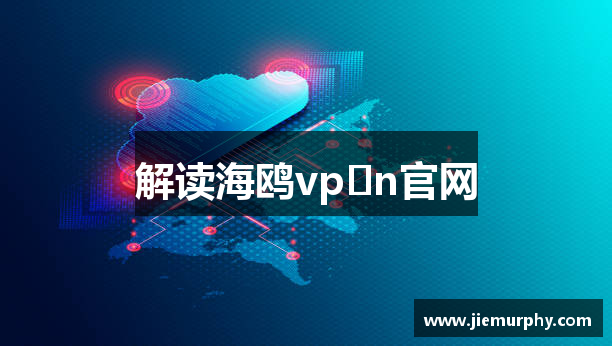 解读海鸥vp n官网